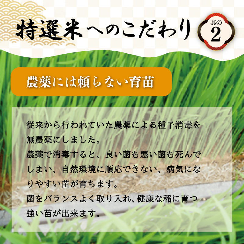 伊勢の大地・名水「宮川」の水が育てる コシヒカリ5kg【松幸農産】