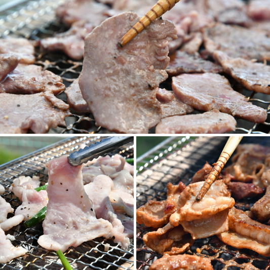 【沢田食品】三重県産 豚ちゃんセット3.9kg(タントロ1kg・トントロ900g・ホルモン2kg)