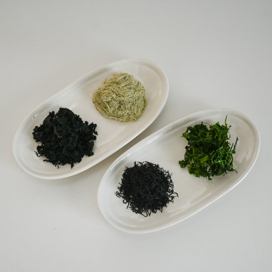 【マルハ昆布】伊勢志摩海藻乾物4品セット(とろろ昆布・カットわかめ・伊勢ひじき・あおさのり)