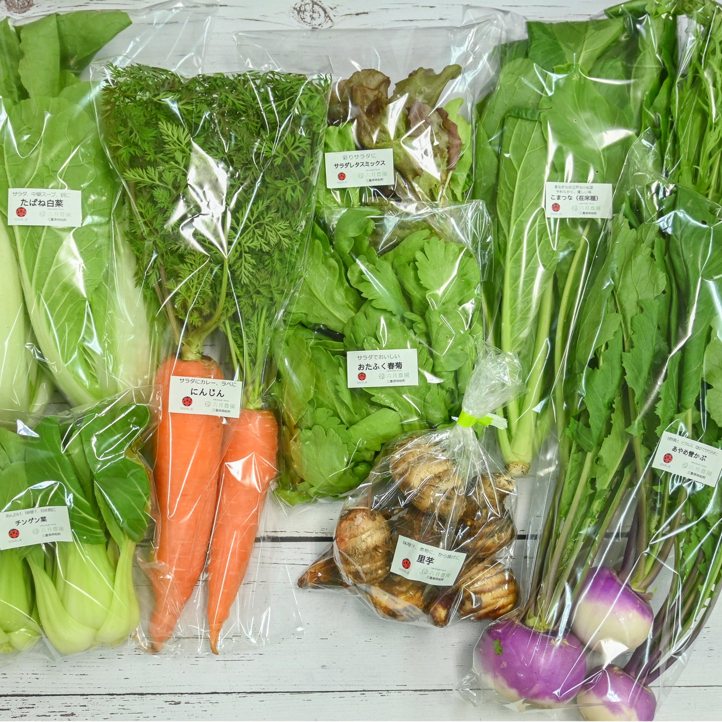 宮殿の厨房野菜セット【六月農園】