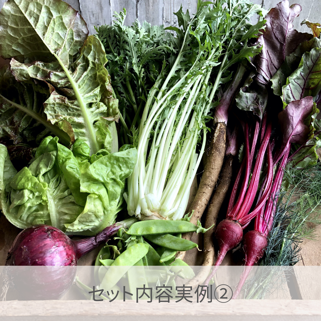 宮殿の厨房野菜セット【六月農園】