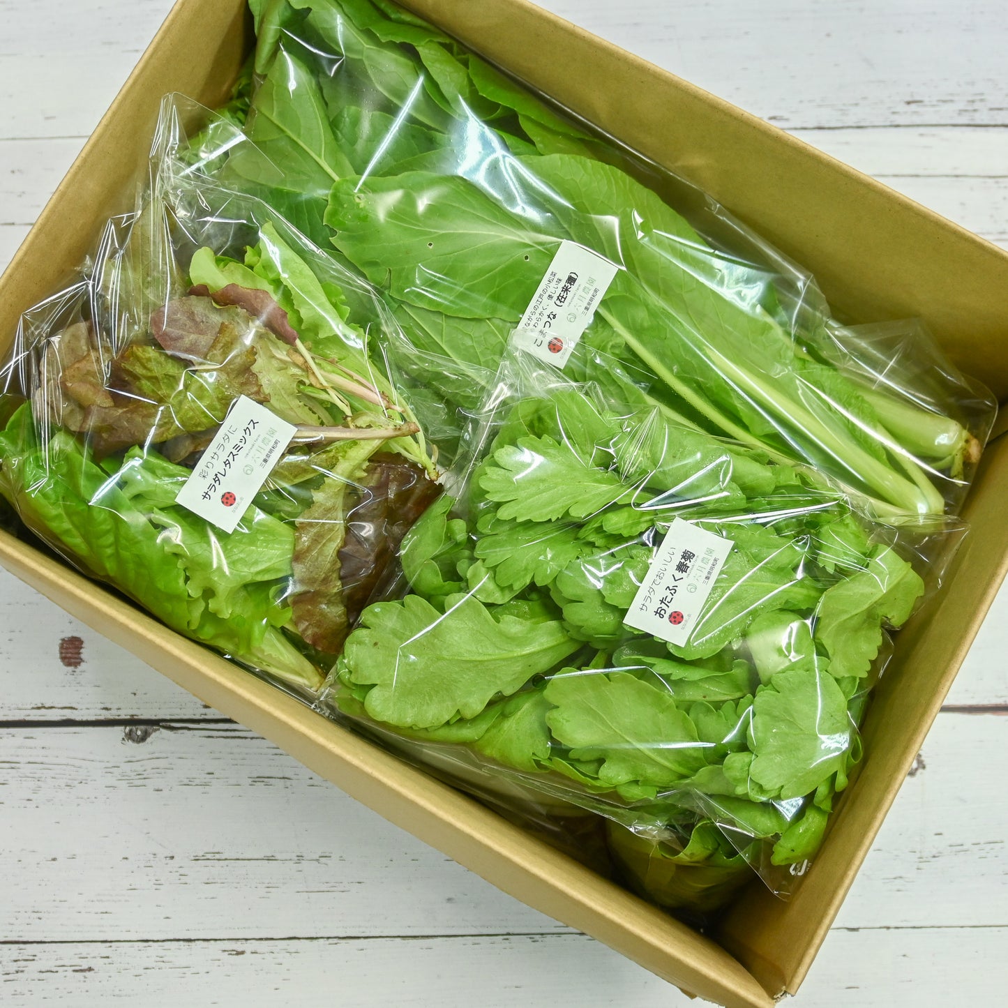 宮殿の厨房野菜セット【六月農園】
