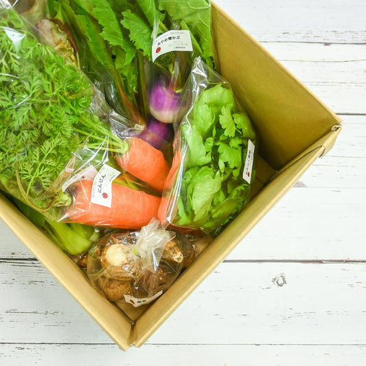 宮殿の厨房野菜セット【六月農園】