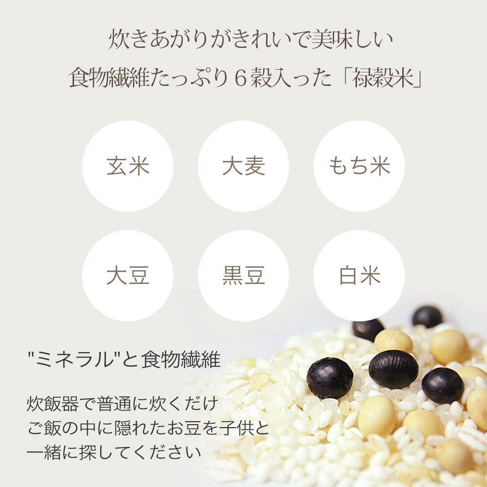 見栄えがキレイで美味しい、食物繊維たっぷり6穀入った禄穀米【松幸農産】