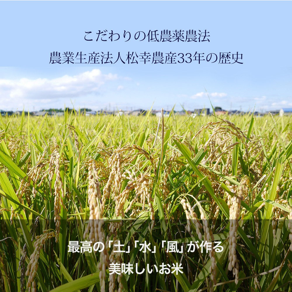 見栄えがキレイで美味しい、食物繊維たっぷり6穀入った禄穀米【松幸農産】