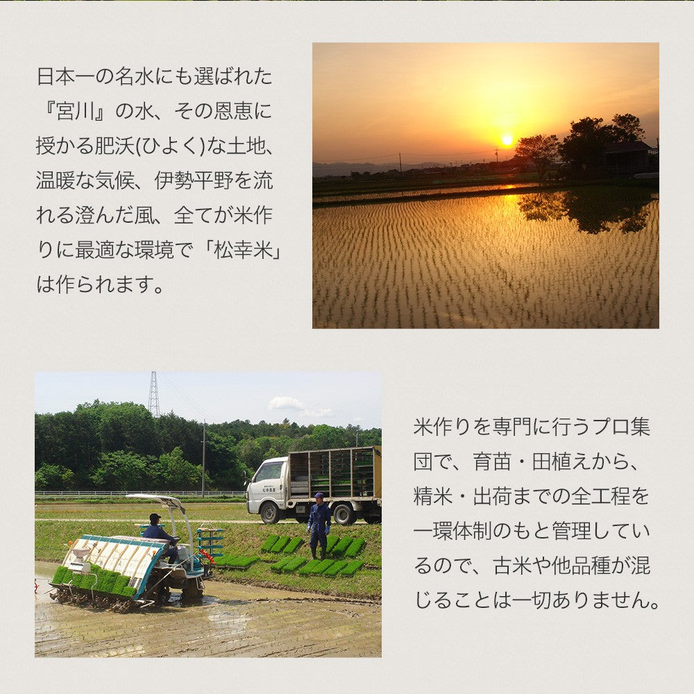見栄えがキレイで美味しい、食物繊維たっぷり6穀入った禄穀米【松幸農産】