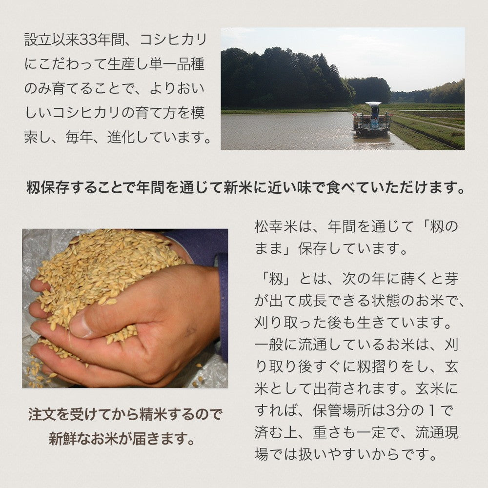 見栄えがキレイで美味しい、食物繊維たっぷり6穀入った禄穀米【松幸農産】
