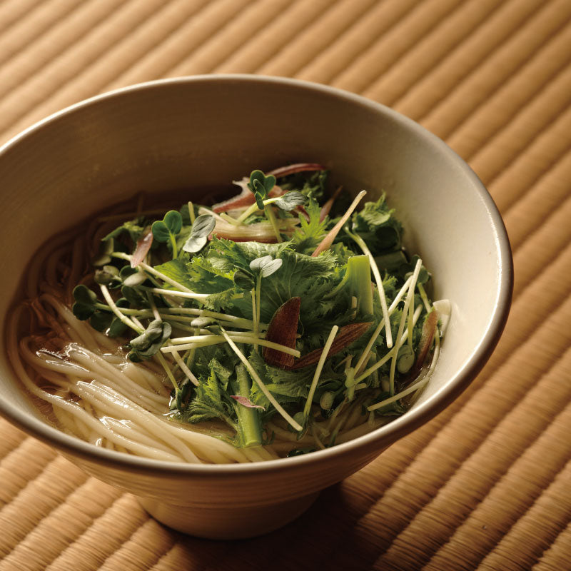 斎麺 2食セット（スープ付）ヴィーガン・五葷不使用 プラントベースラーメン｜伊勢・岩戸の塩＆あおさ スープ