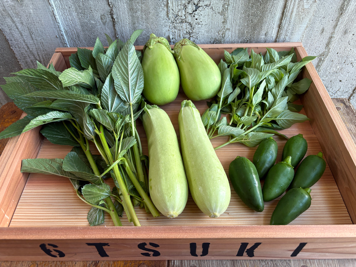 宮殿の厨房野菜おまかせセット【六月農園】（旬の野菜 5品）
