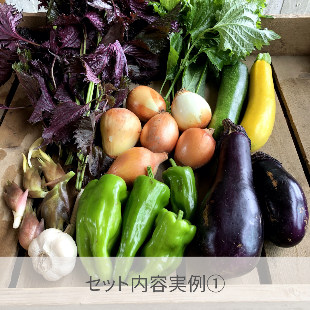 宮殿の厨房野菜セット【六月農園】